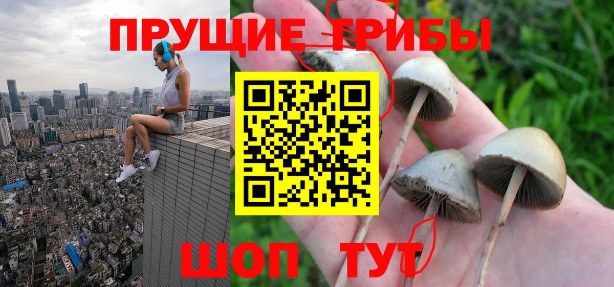 Лобня  Псилоцибиновые грибы ЛСД  дарнет шоп  Вход с VPN 